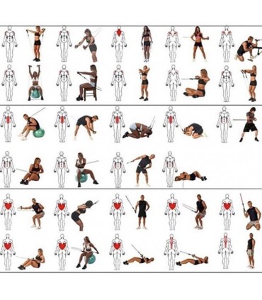 BUDDHA ΣΕΤ ΛΑΣΤΙΧΑ 11 ΤΕΜΑΧΙΩΝ