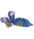 EVERLAST 1910 CLASSIC FIGHT GLOVES LEATHER blue