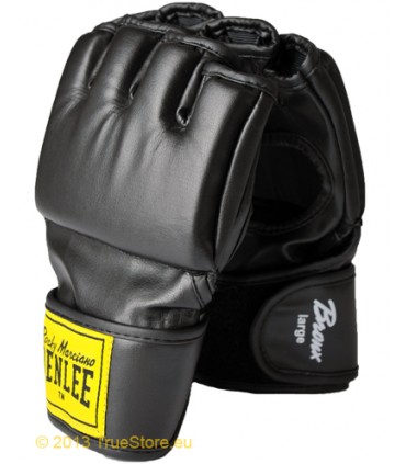 BENLEE ΓΑΝΤΙΑ MMA bronx