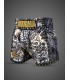 BUDDHA MUAY THAI SHORTS DRAGON gold