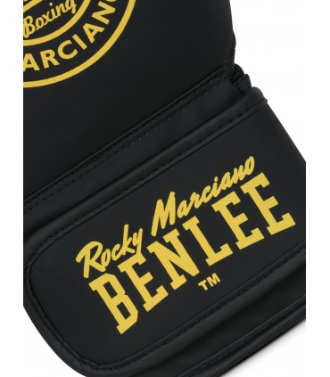 BENLEE ΣΕΤ ΠΡΟΠΟΝΗΣΗΣ STARTER SET BOXGATE