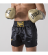 EVERLAST MUAY THAI SHORTS METALLIC black/gold
