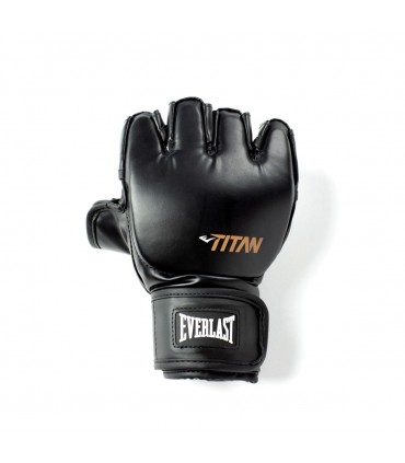EVERLAST TITAN MMA GLOVES black
