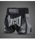 BUDDHA MUAY THAI SHORTS KANOK BORAN